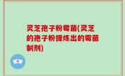灵芝孢子粉霉菌(灵芝的孢子粉提炼出的霉菌制剂)