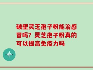 破壁灵芝孢子粉能治感冒吗？灵芝孢子粉真的可以提高免疫力吗