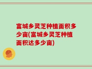富城乡灵芝种植面积多少亩(富城乡灵芝种植面积达多少亩)