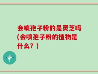 会喷孢子粉的是灵芝吗(会喷孢子粉的植物是什么？)