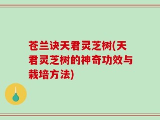 苍兰诀天君灵芝树(天君灵芝树的神奇功效与栽培方法)