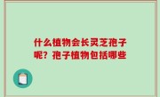 什么植物会长灵芝孢子呢？孢子植物包括哪些