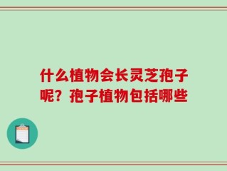 什么植物会长灵芝孢子呢？孢子植物包括哪些