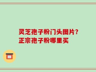 灵芝孢子粉门头图片？正宗孢子粉哪里买
