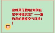 盆栽灵芝栽培(如何在家中种植灵芝？——重构您的居室空气环境！)