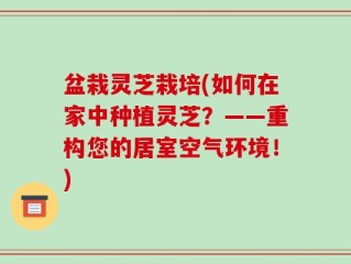 盆栽灵芝栽培(如何在家中种植灵芝？——重构您的居室空气环境！)