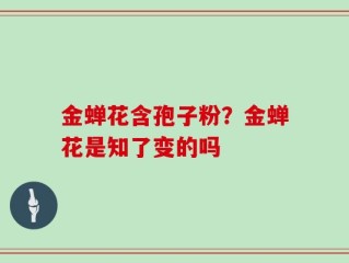 金蝉花含孢子粉？金蝉花是知了变的吗
