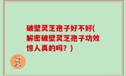 破壁灵芝孢子好不好(解密破壁灵芝孢子功效惊人真的吗？)