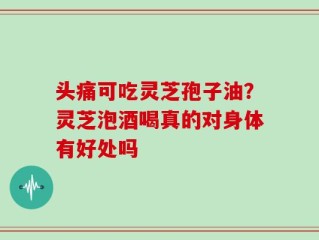 头痛可吃灵芝孢子油？灵芝泡酒喝真的对身体有好处吗