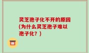 灵芝孢子化不开的原因(为什么灵芝孢子难以孢子化？)