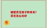 破壁灵芝孢子粉肾炎？灵芝怎么吃好