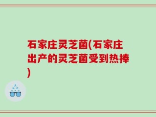 石家庄灵芝菌(石家庄出产的灵芝菌受到热捧)