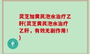 灵芝加黄芪泡水治疗乙肝(灵芝黄芪泡水治疗乙肝，有效无副作用！)