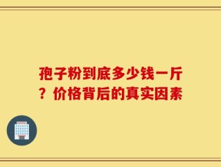 孢子粉到底多少钱一斤？价格背后的真实因素