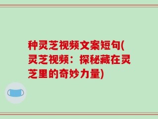 种灵芝视频文案短句(灵芝视频：探秘藏在灵芝里的奇妙力量)