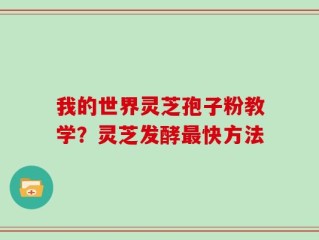我的世界灵芝孢子粉教学？灵芝发酵最快方法