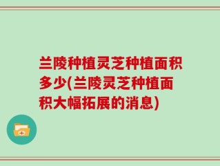 兰陵种植灵芝种植面积多少(兰陵灵芝种植面积大幅拓展的消息)