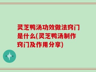 灵芝鸭汤功效做法窍门是什么(灵芝鸭汤制作窍门及作用分享)