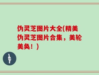 伪灵芝图片大全(精美伪灵芝图片合集，美轮美奂！)