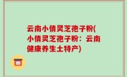 云南小倩灵芝孢子粉(小倩灵芝孢子粉：云南健康养生土特产)