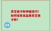 灵芝孢子粉种植技巧？如何培育高品质灵芝孢子粉？