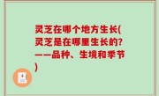 灵芝在哪个地方生长(灵芝是在哪里生长的？——品种、生境和季节)