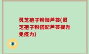 灵芝孢子粉加芦荟(灵芝孢子粉搭配芦荟提升免疫力)