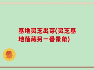 基地灵芝出芽(灵芝基地蕴藏另一番景象)