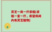 灵芝一房一厅求租(求租一室一厅，希望房间内有灵芝植物)