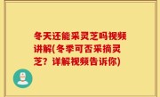 冬天还能采灵芝吗视频讲解(冬季可否采摘灵芝？详解视频告诉你)