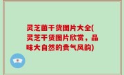 灵芝菌干货图片大全(灵芝干货图片欣赏，品味大自然的贵气风韵)
