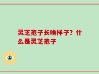灵芝孢子长啥样子？什么是灵芝孢子