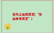 古代上山找灵芝(“往山林寻灵芝”)