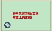 野马灵芝(野生灵芝：草原上的宝藏)