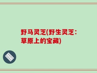 野马灵芝(野生灵芝：草原上的宝藏)