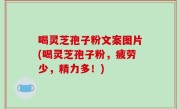 喝灵芝孢子粉文案图片(喝灵芝孢子粉，疲劳少，精力多！)