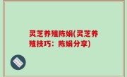 灵芝养殖陈娟(灵芝养殖技巧：陈娟分享)