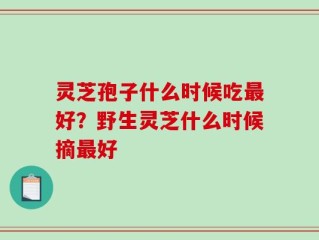 灵芝孢子什么时候吃最好？野生灵芝什么时候摘最好