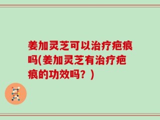 姜加灵芝可以治疗疤痕吗(姜加灵芝有治疗疤痕的功效吗？)