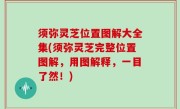 须弥灵芝位置图解大全集(须弥灵芝完整位置图解，用图解释，一目了然！)