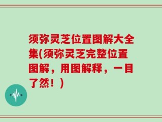 须弥灵芝位置图解大全集(须弥灵芝完整位置图解，用图解释，一目了然！)
