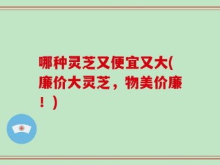 哪种灵芝又便宜又大(廉价大灵芝，物美价廉！)