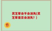 灵芝草会不会消失(灵芝草是否会消失？)
