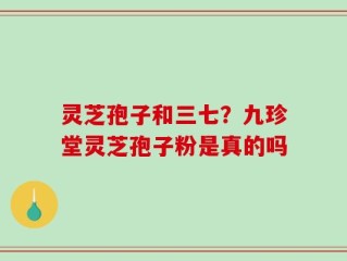 灵芝孢子和三七？九珍堂灵芝孢子粉是真的吗
