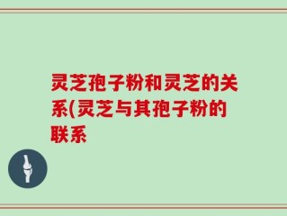 灵芝孢子粉和灵芝的关系(灵芝与其孢子粉的联系