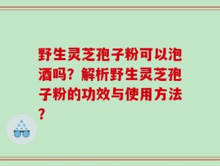 野生灵芝孢子粉可以泡酒吗？解析野生灵芝孢子粉的功效与使用方法？