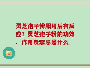 灵芝孢子粉服用后有反应？灵芝孢子粉的功效、作用及禁忌是什么