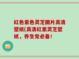 红色紫色灵芝图片高清壁纸(高清红紫灵芝壁纸，养生党必备！