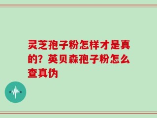 灵芝孢子粉怎样才是真的？英贝森孢子粉怎么查真伪