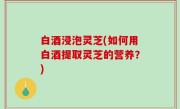 白酒浸泡灵芝(如何用白酒提取灵芝的营养？)